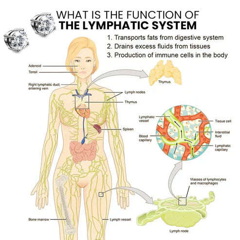 Brincos de magnoterapia Oveallgo™ Lymphvity