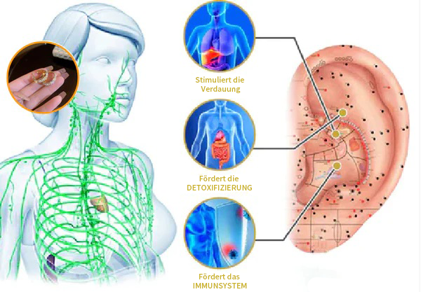 🔥Lymphatic Activity Hoop náušnice (časově omezená sleva 🔥Poslední den)