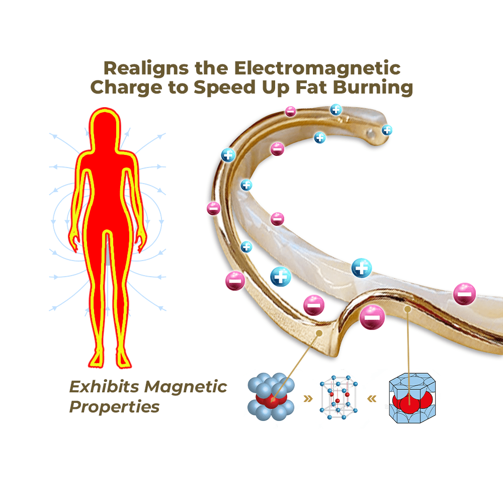 FLYSMUS™ GEMGEMINI MAGNETILINE AROSSPICE