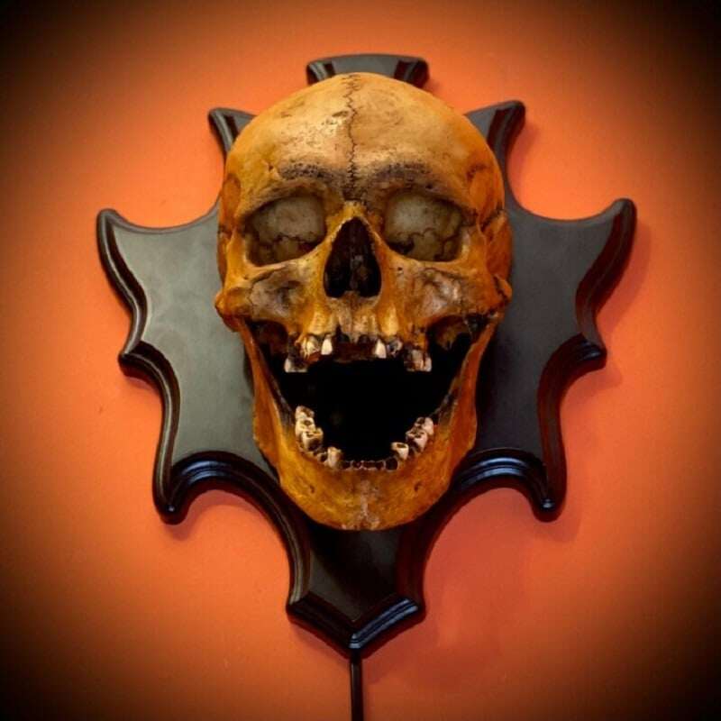 💀 Noční světlo zpívající Head Skull Lamp